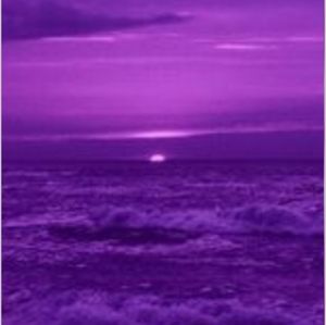 Violet Light & Violet Love in 2021!